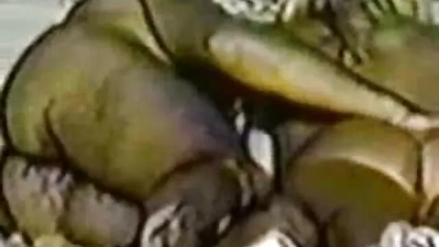 Ama voglio vedere film porno gratis leccare il culo e L.