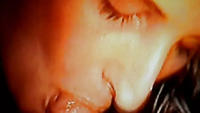 Una giovane ragazza ha guarda film hard gratis incontrato gli studenti sul bus, e di accompagnarli sulla capanna