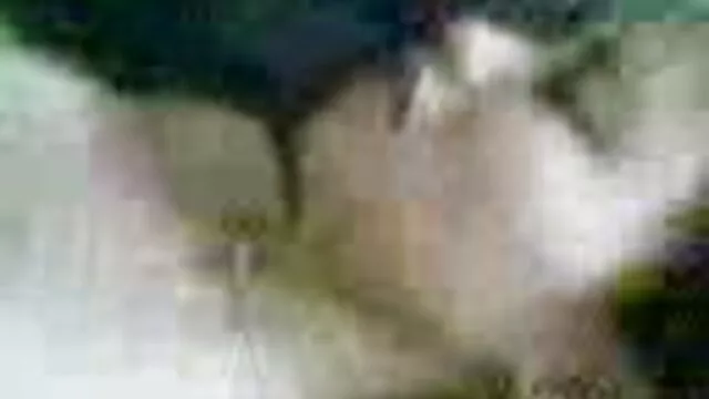 Una giovane bruna vedo e non vedo porno catturato un uomo masturbandosi e lei con lui