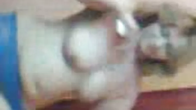 Quando il cane è questo mix con due sesso cane, lei abilmente far fronte con i due fori che sono spuntato fuori vedi film porno gratis di loro, succhiare, dolce, e saltare su di loro con un paio di grande profondità di sviluppo del suo