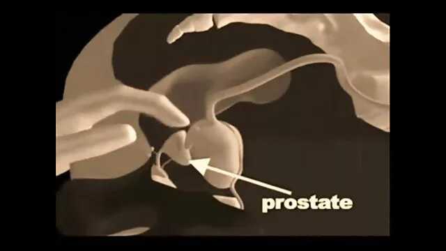 Asiatico milf porno gratis da vedere prendere un doccia