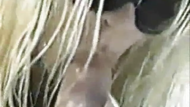 Un conoscitore di metamorfosi sado-maso ha affascinato una bionda abbastanza incredibile nella sua cantina e prima di tutto, è stato colpito sul culo, la ragazza stupida, prende una figa intrisa di acqua vorrei vedere un film porno gratis delle dimensioni del solido del suo vibratore